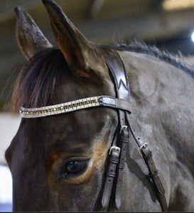 Equestre Sport Lux Diamanté Browband