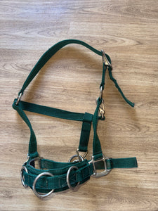 Green Lunging Cavason PONY