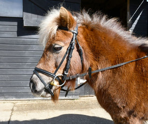 Windsor Sythentic Leather Flash Bridle(inc Reins) - Small Pony Mini Shetland