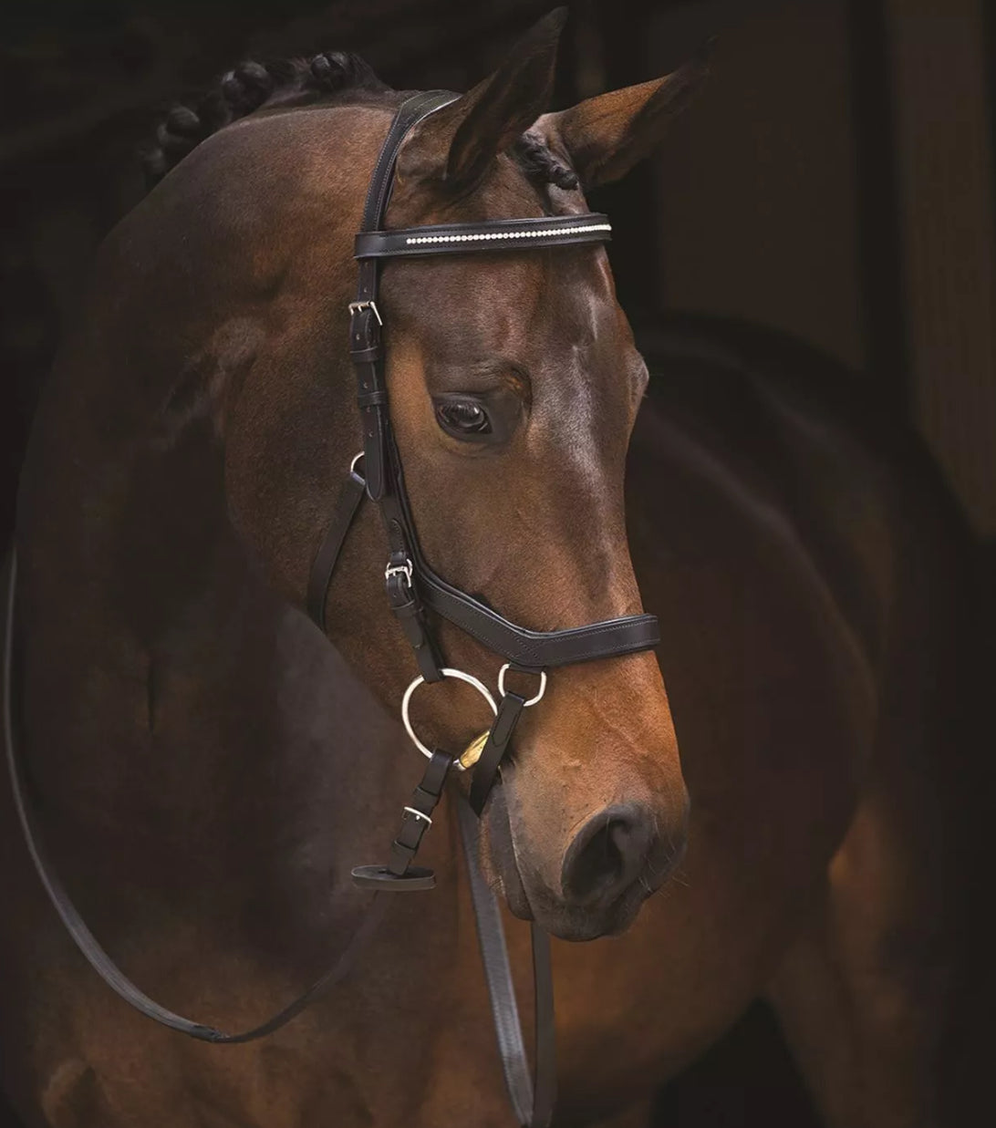 Horseware Rambo Diamanté Competition Micklem Bridle - Standard Horse RRP £157.99