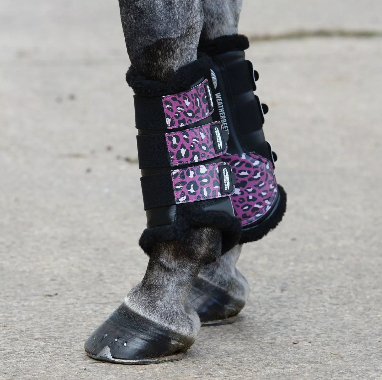 Weatherbeeta Pony PURPLE LEOPARD print Jump Saddle Pad & Fluffy Brushing Boots