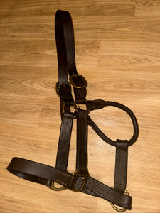 Traditional English Leather Cob Headcollar D - Free Postage