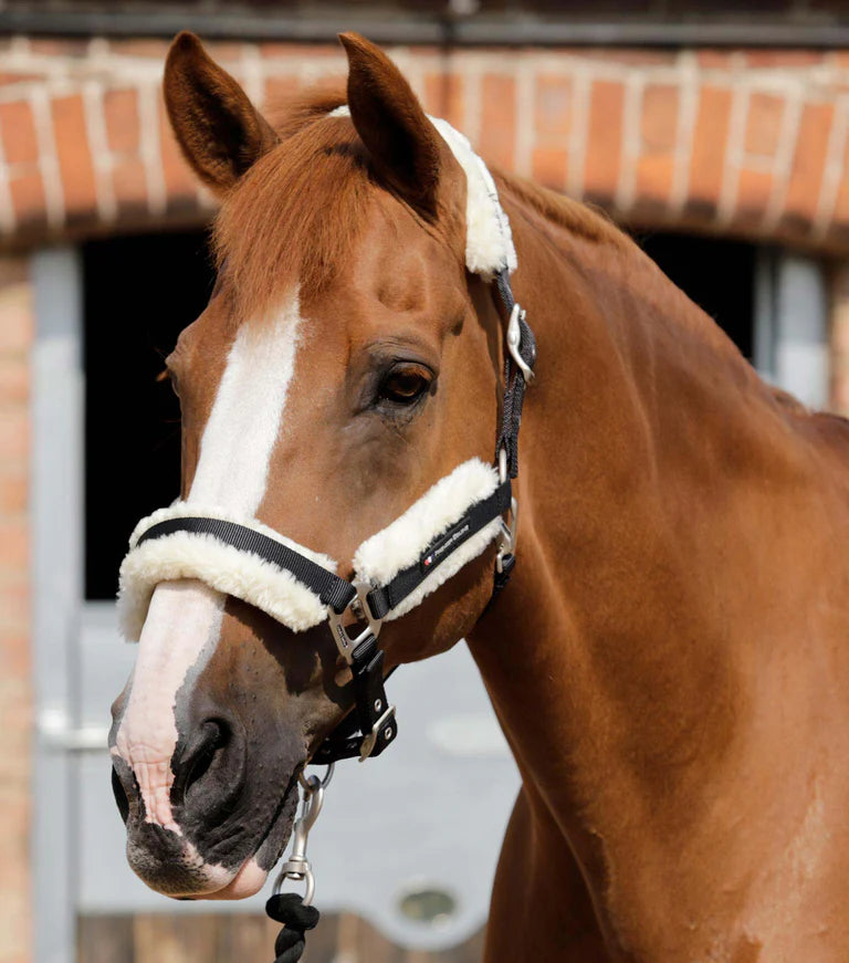 Premier Equine Techno Wool Lined Head Collar