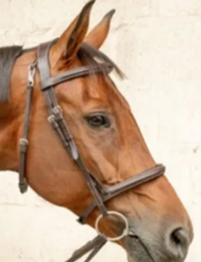 Equestre Sport Cavalla Comfort Bridle