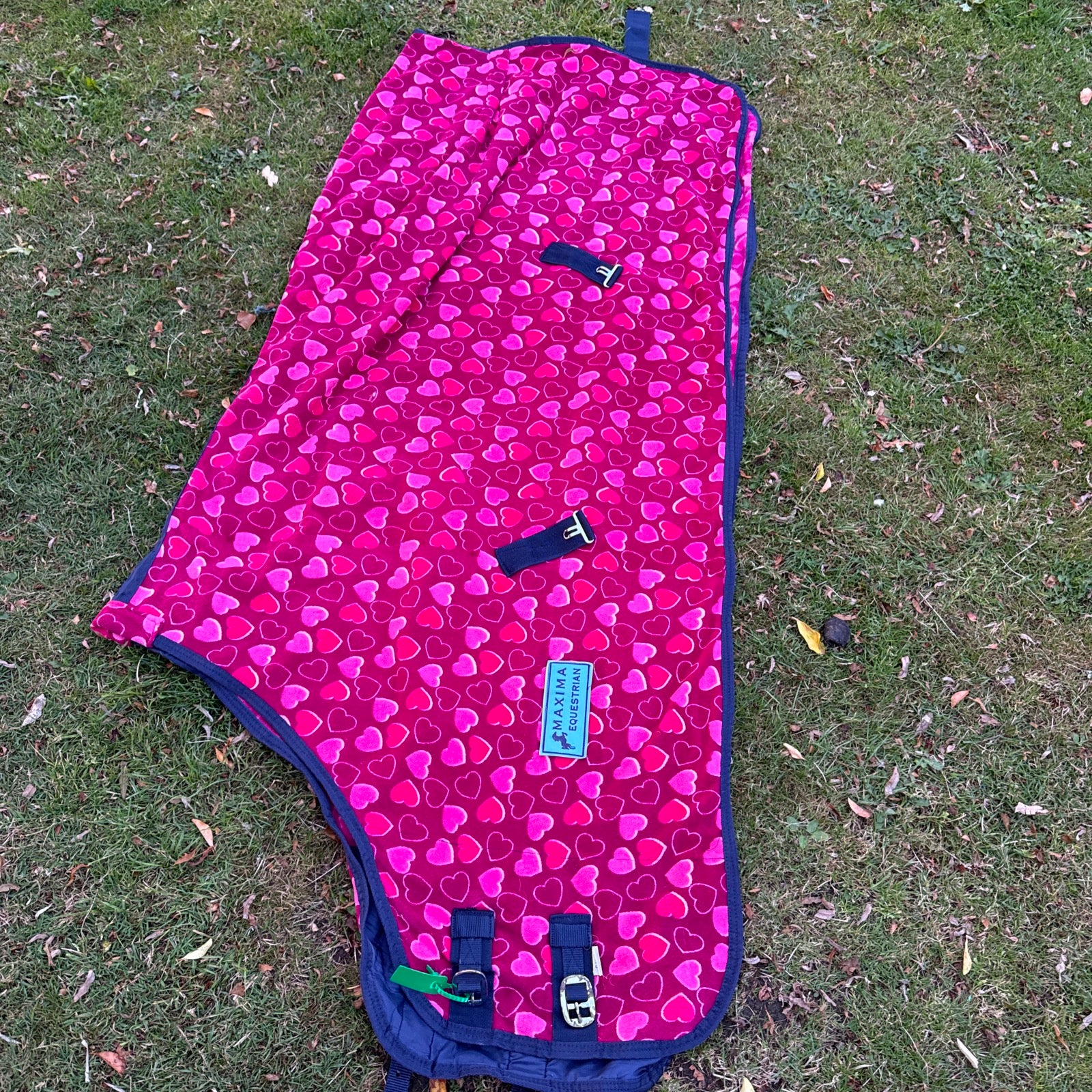 Maxima 6’0 Heart Fleece Rug D