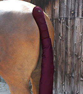 Premier Equine Padded Horse Tail Guard with Tail Bag