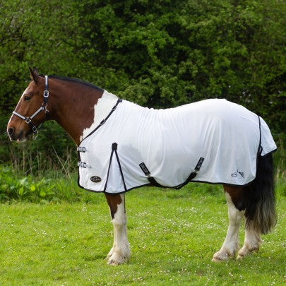 NEW GALLOP Dual 5-Point Fly Rug