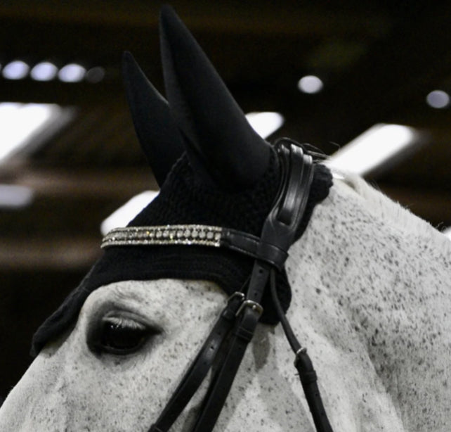 Equestre Sport Lux Diamanté Browband