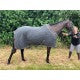 Elano Thermoflux Fleece Cooler Rug ( wick away)