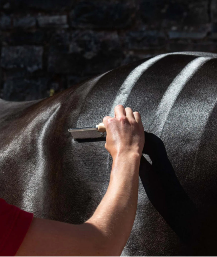 Smart Grooming Hunter Quarter Marking Comb