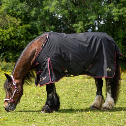 Gallop NEW TROJAN Dual 50g Turnout Set