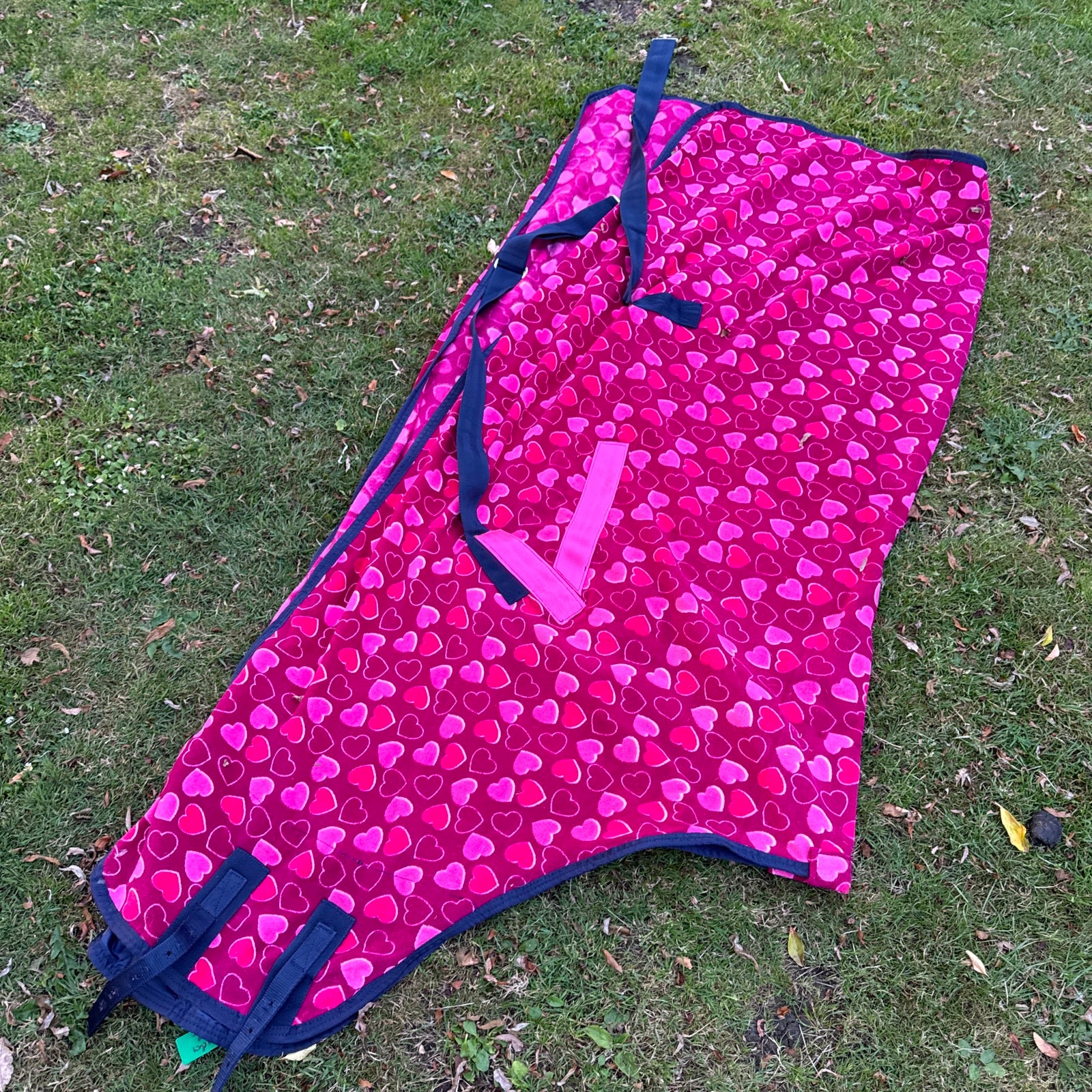 Maxima 6’0 Heart Fleece Rug D