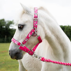 GALLOP UNICORN PADDED HEADCOLLAR WITH MULTI LEAD SET