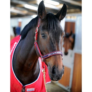 John Whitaker Navy Padded Headcollar