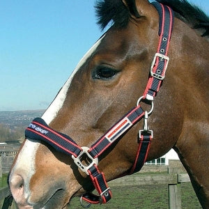 John Whitaker Airflow Headcollar Sets