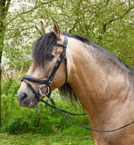 Heritage Saddlery Anatomical Flash Bridle