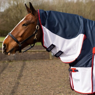 Gallop TROJAN Waterproof Fly Rug Combo