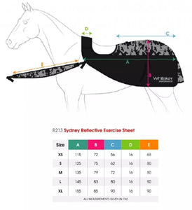 Whitaker Sydney Camo Reflective Exercise Sheet