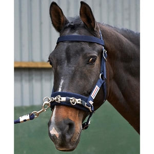 John Whitaker Lunging Cavason