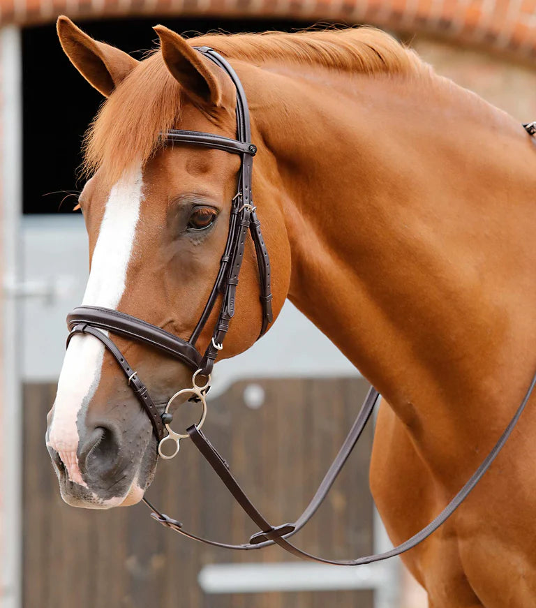 Premier Equine Delizioso Snaffle Bridle