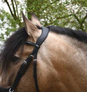 Heritage Saddlery Anatomical Flash Bridle