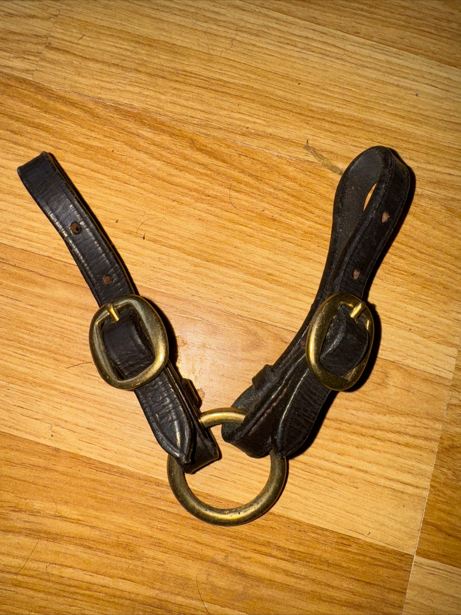 Ascot Leather Brown Coupling / Inhand Showing Leading