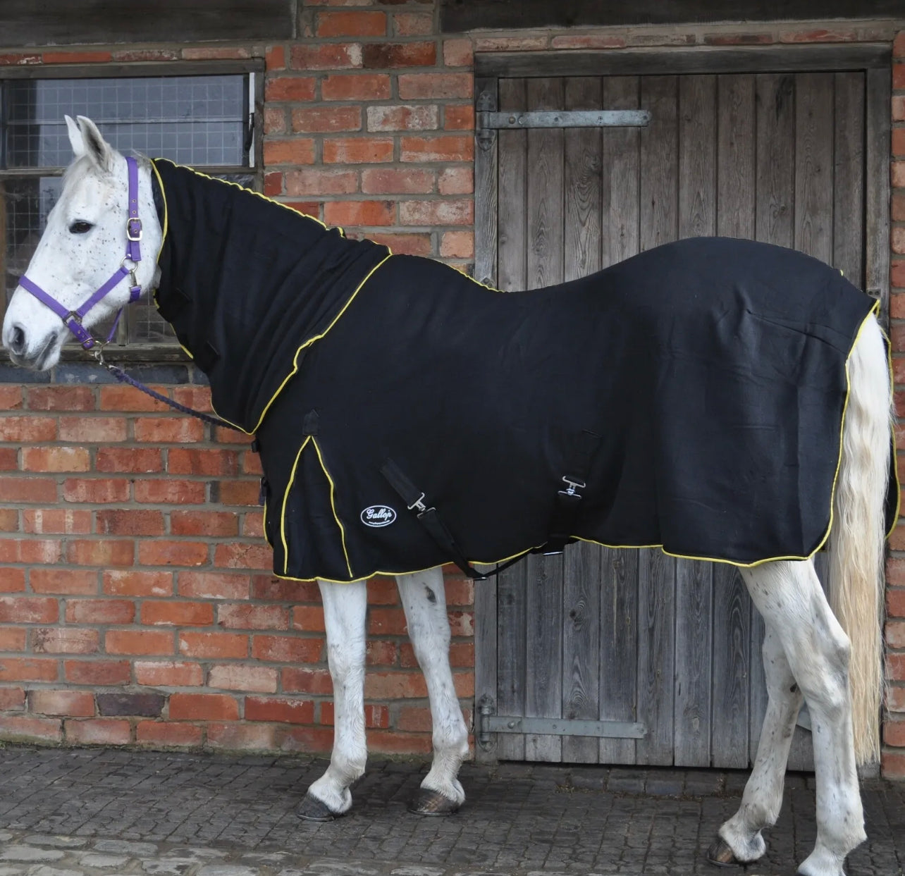 Gallop Majestic Fleece Combo Rug