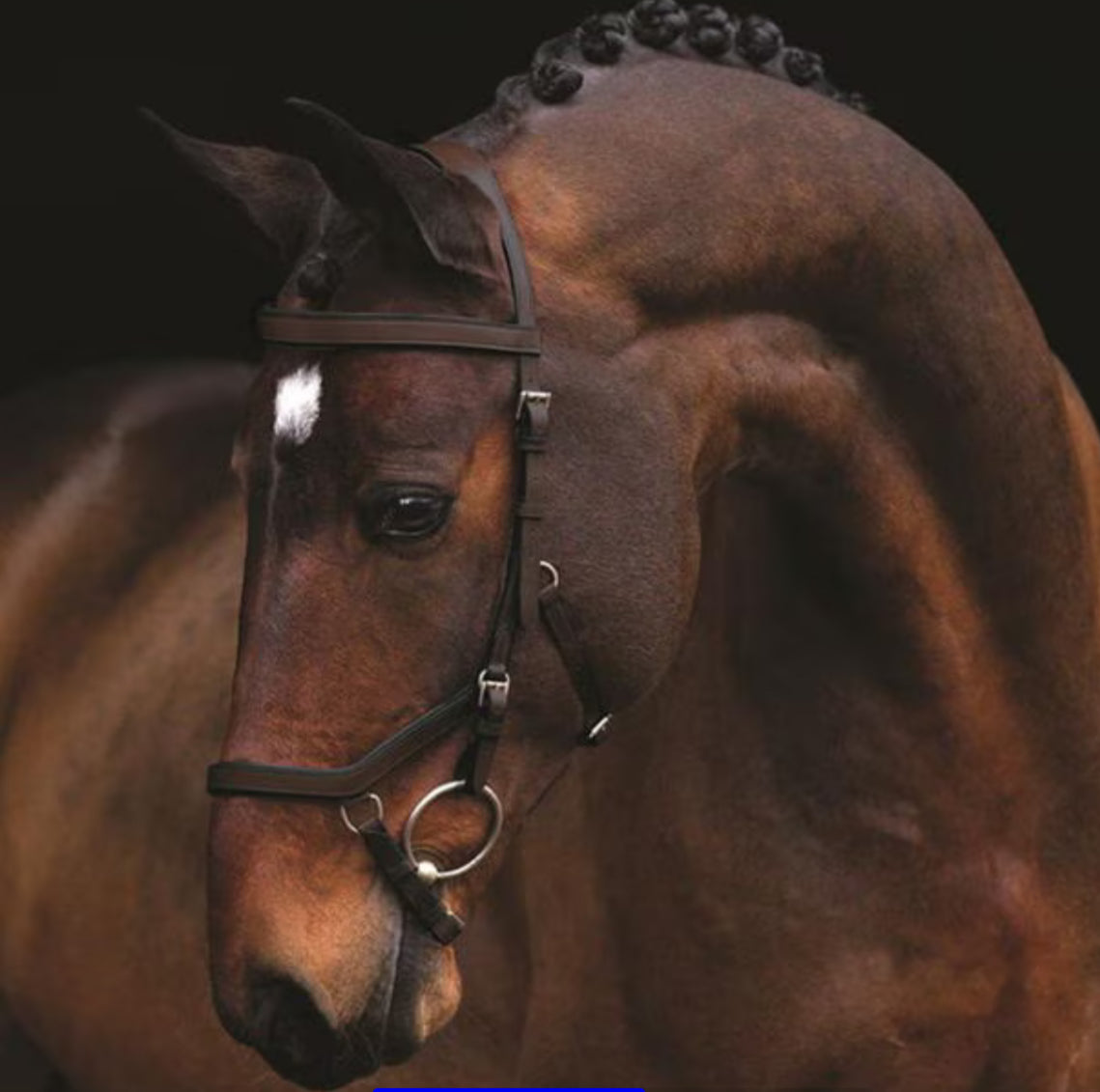 Rambo Competition Micklem Bridle & Reins - Standard Horse - RRP £183.99