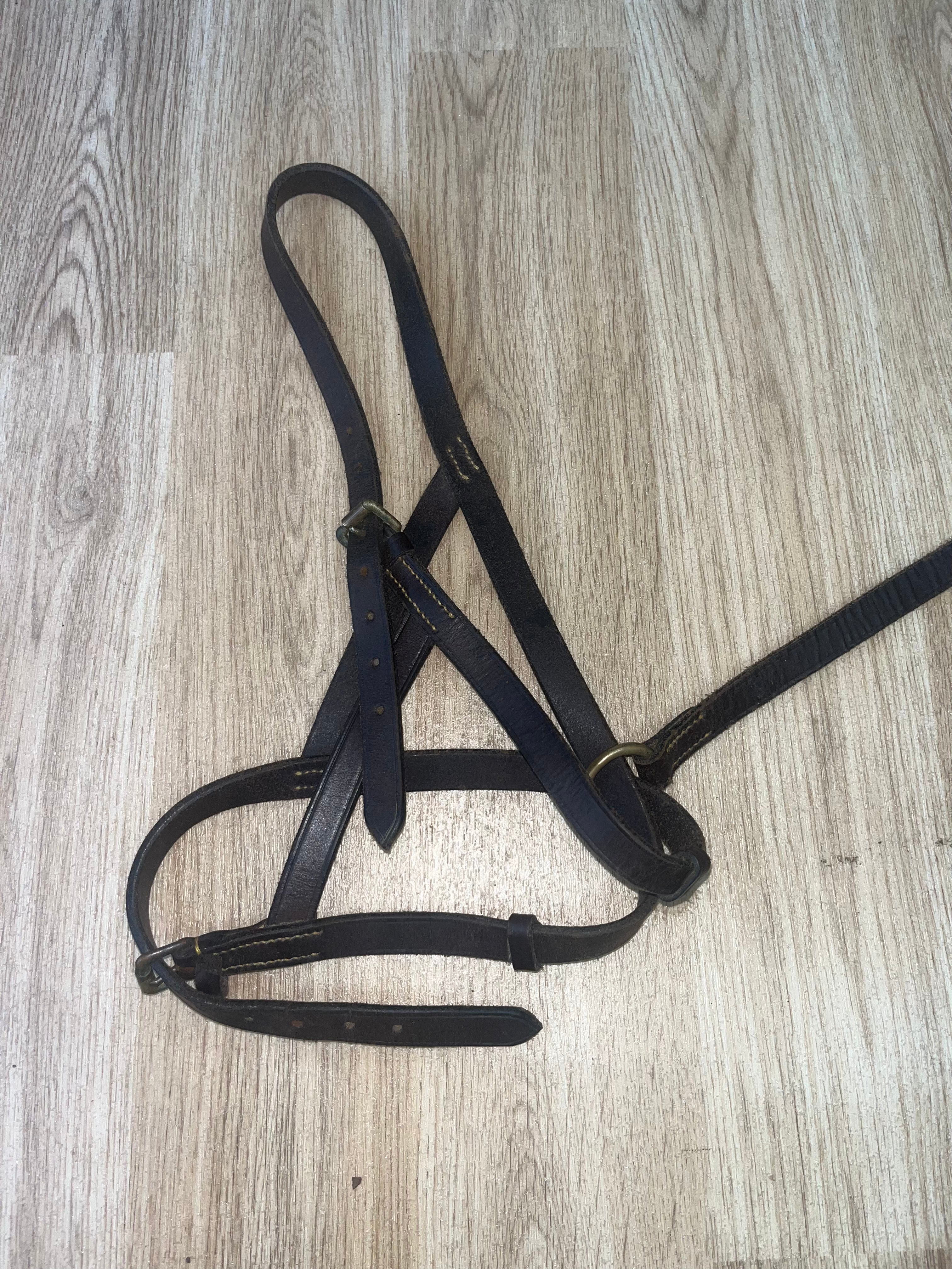 Foal Slip / Headcollar