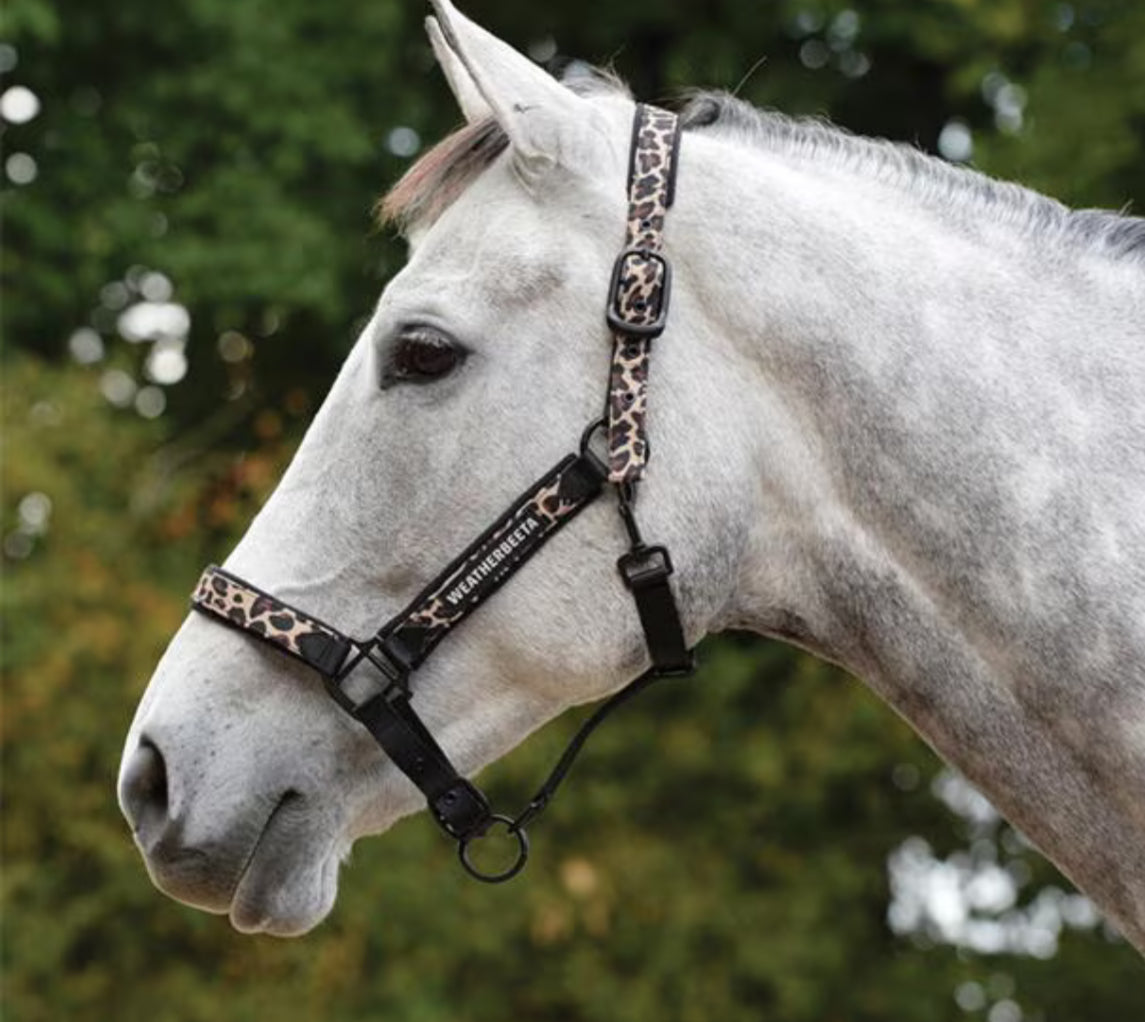 Weatherbeeta Leopard Print Headcollar