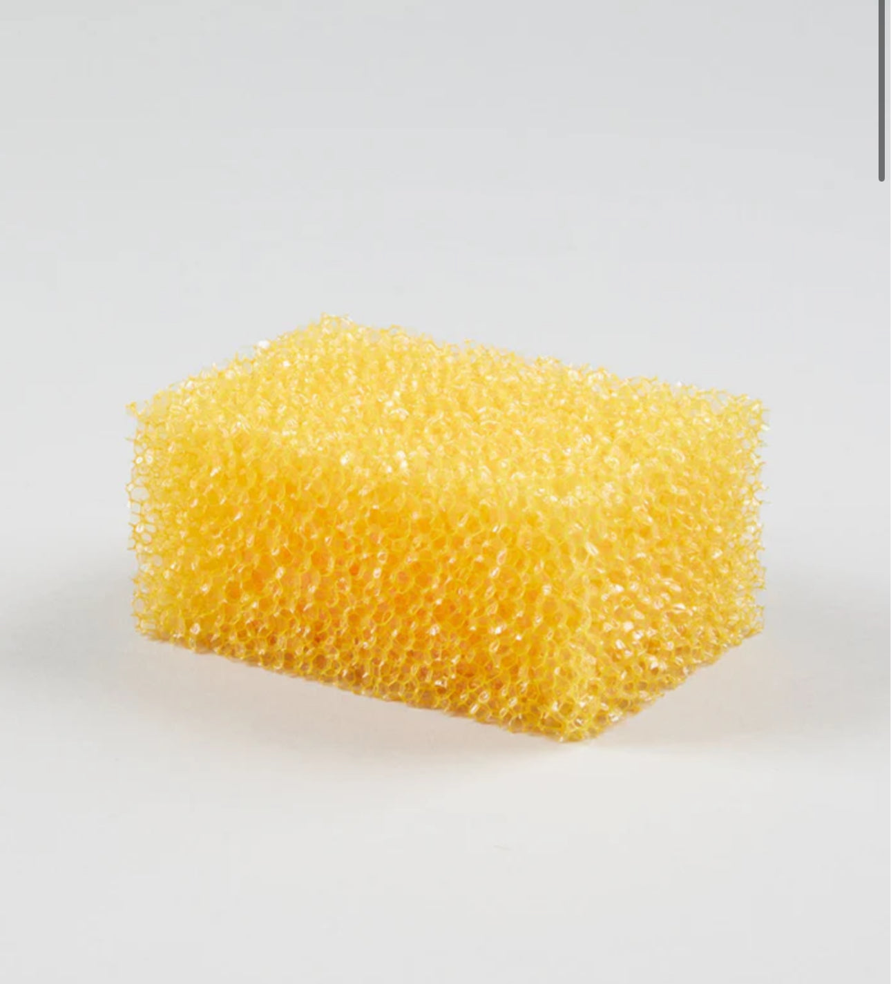 Premier Equine Abrasive Sponge