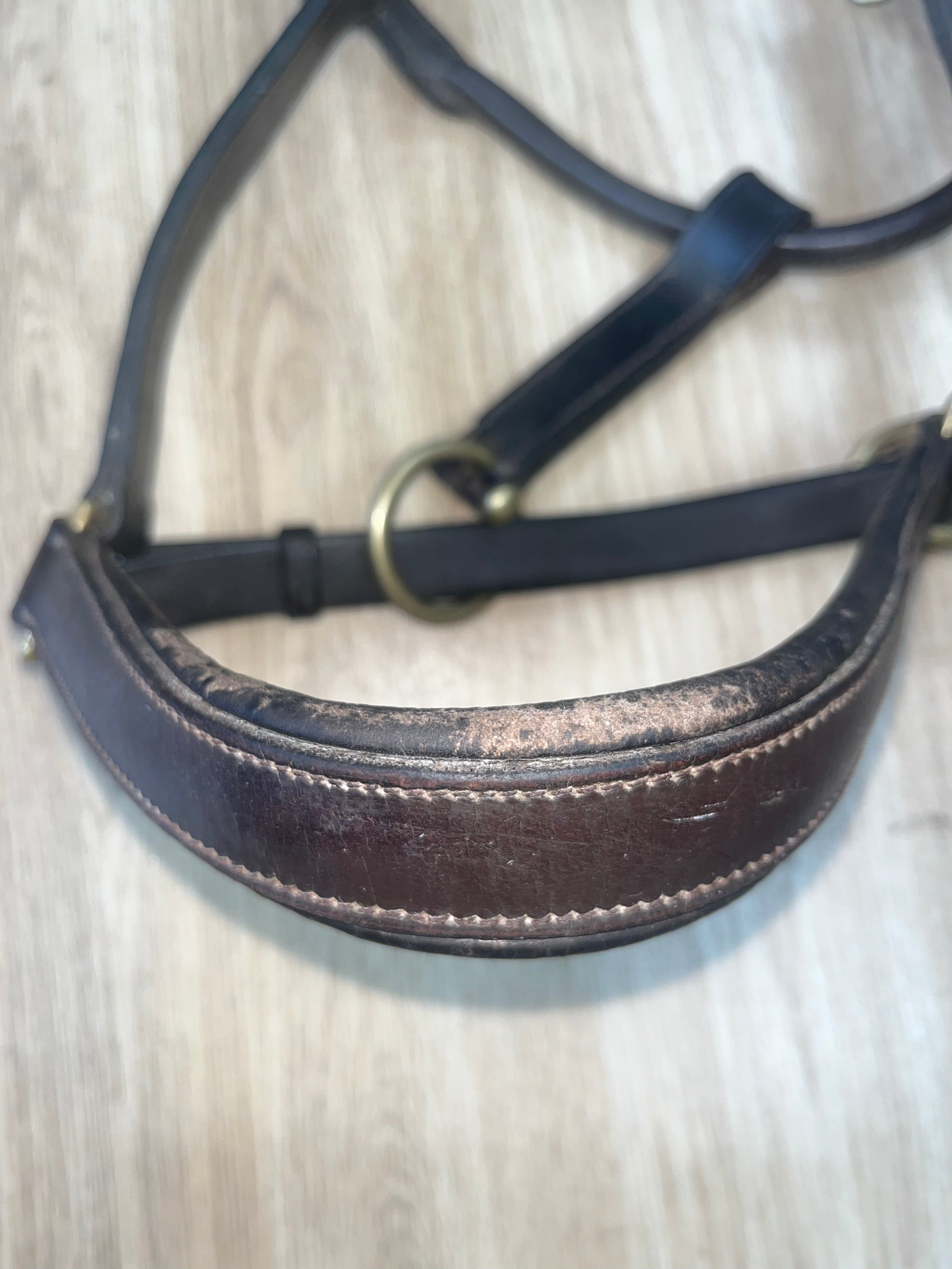 Leather Brown Headcollar Full