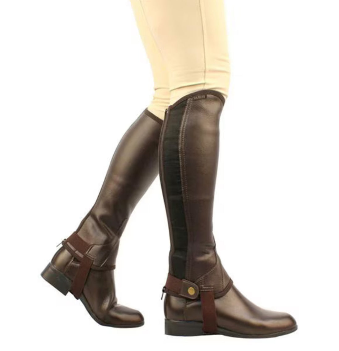 Saxon Equileather Brown Half Chaps - Small Tall