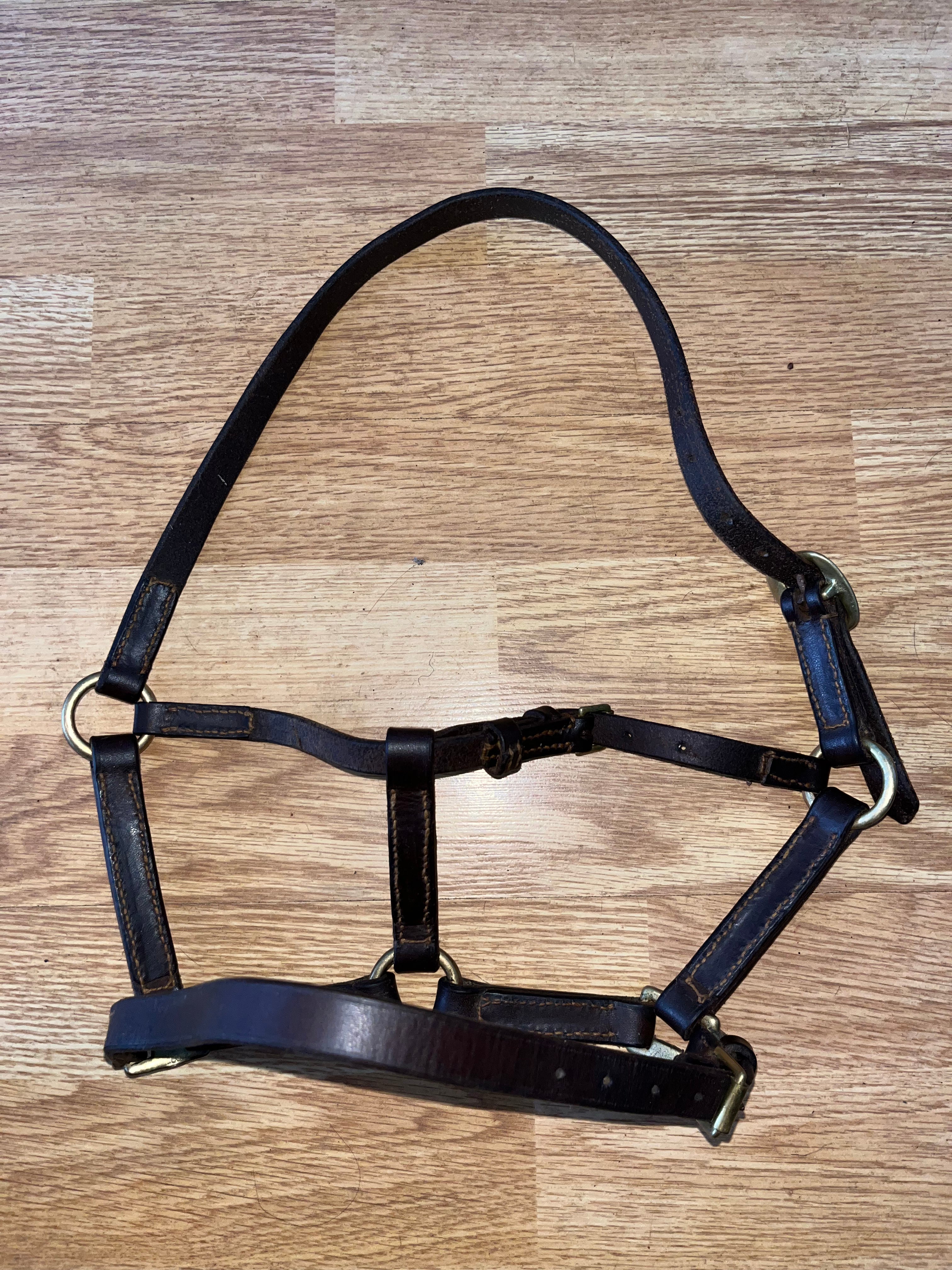 Brown Leather Foal Headcollar