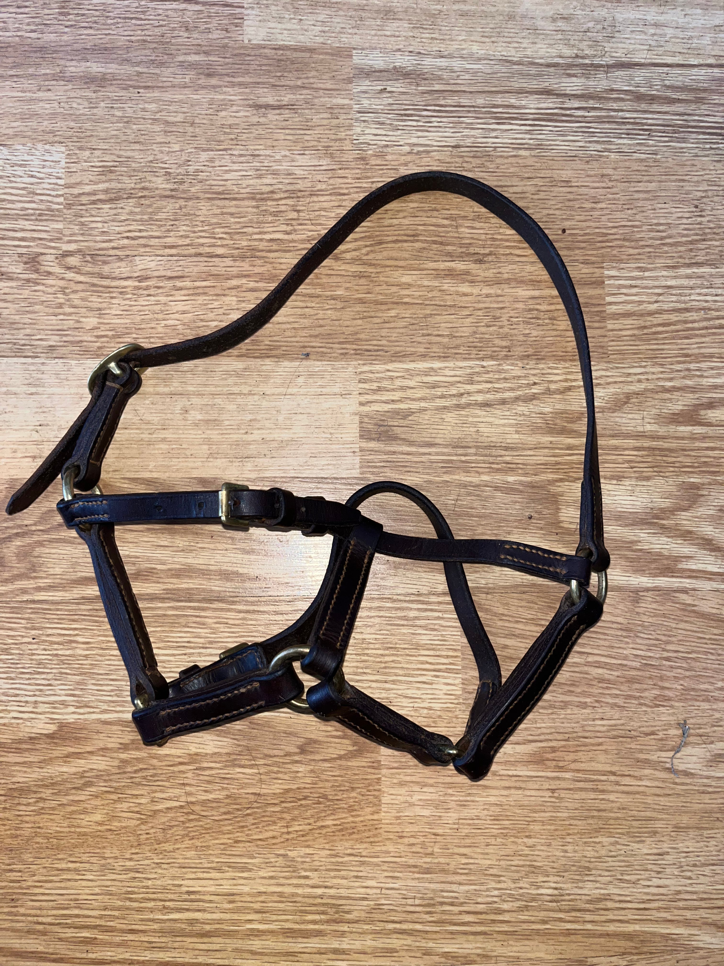 Brown Leather Foal Headcollar