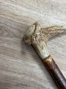 Hunting / Show Deer Horn Cane