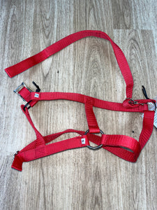 Dinky Safety Headcollar Size Small Colour Red .