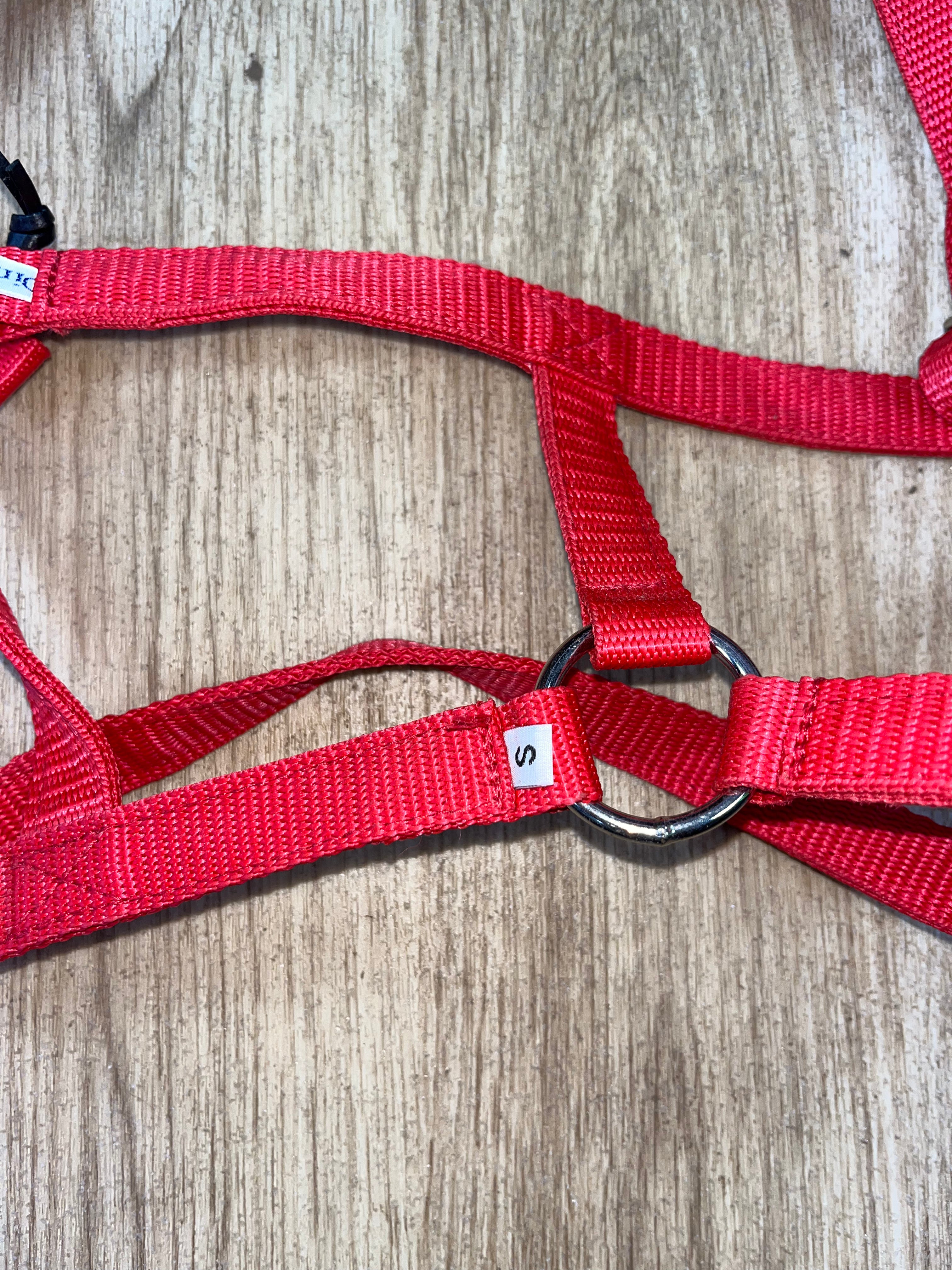 Dinky Safety Headcollar Size Small Colour Red .