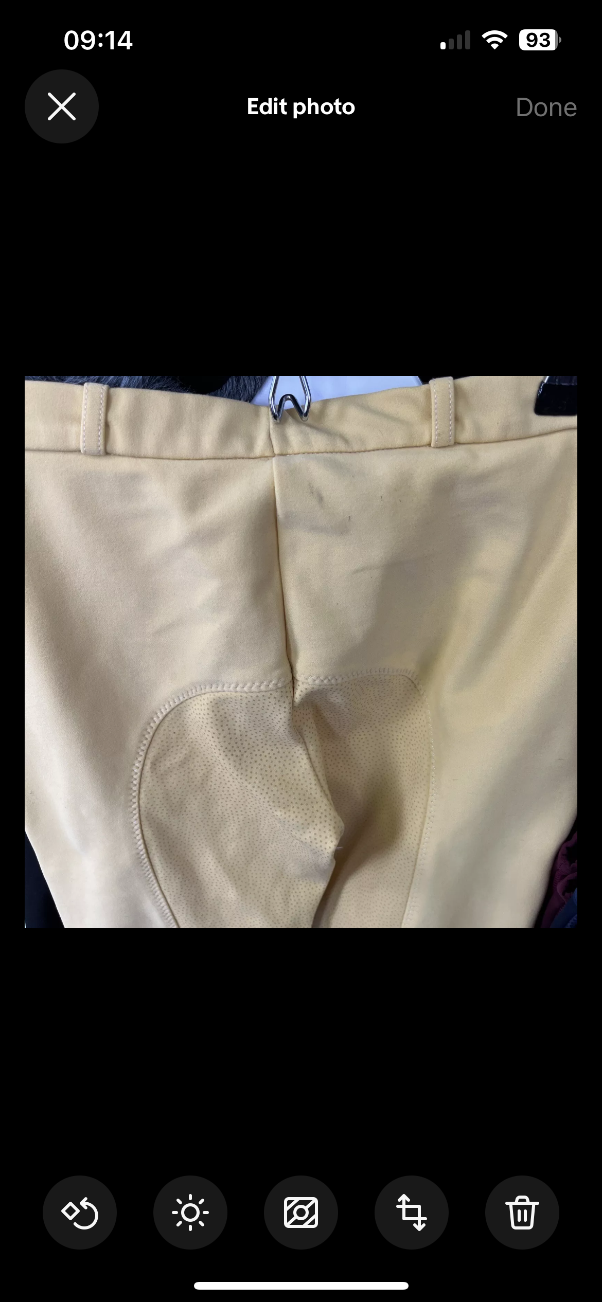 Gorringe Ladies Jodphurs Size 32”