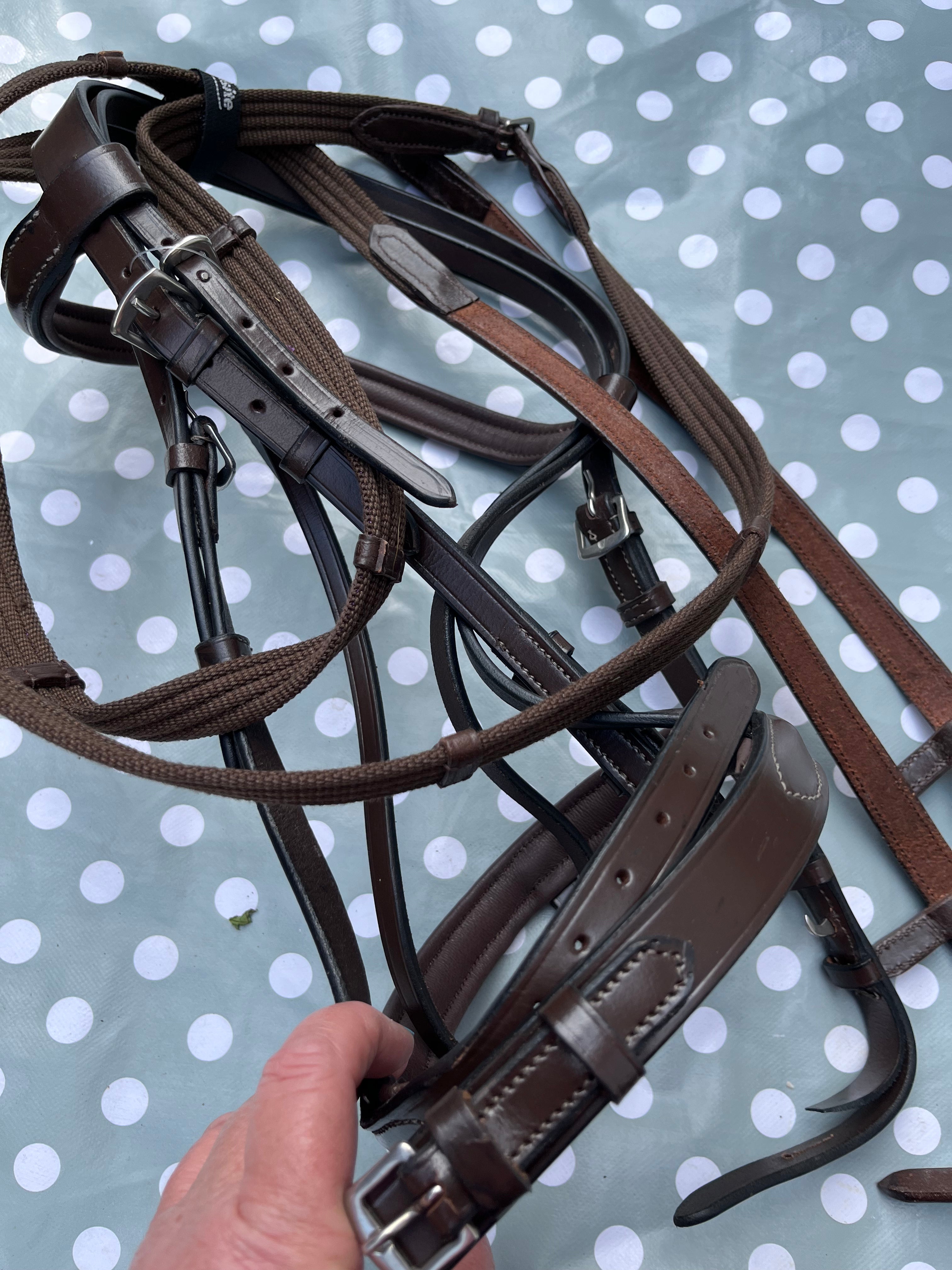 Requisite Bridle/ Webbing Reins Havana Cob