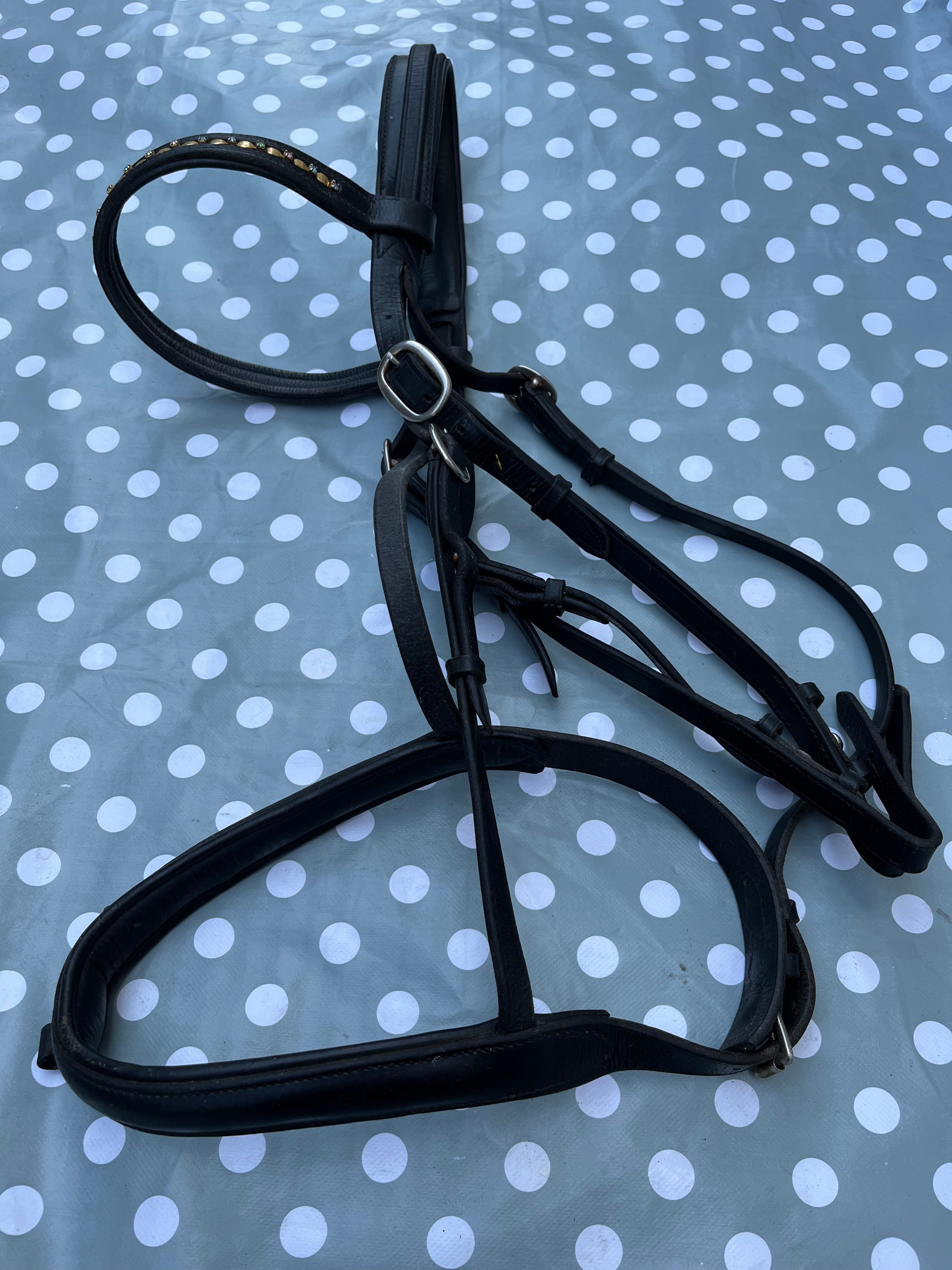 Black Bridle Warmblood / Gem Browband # 68