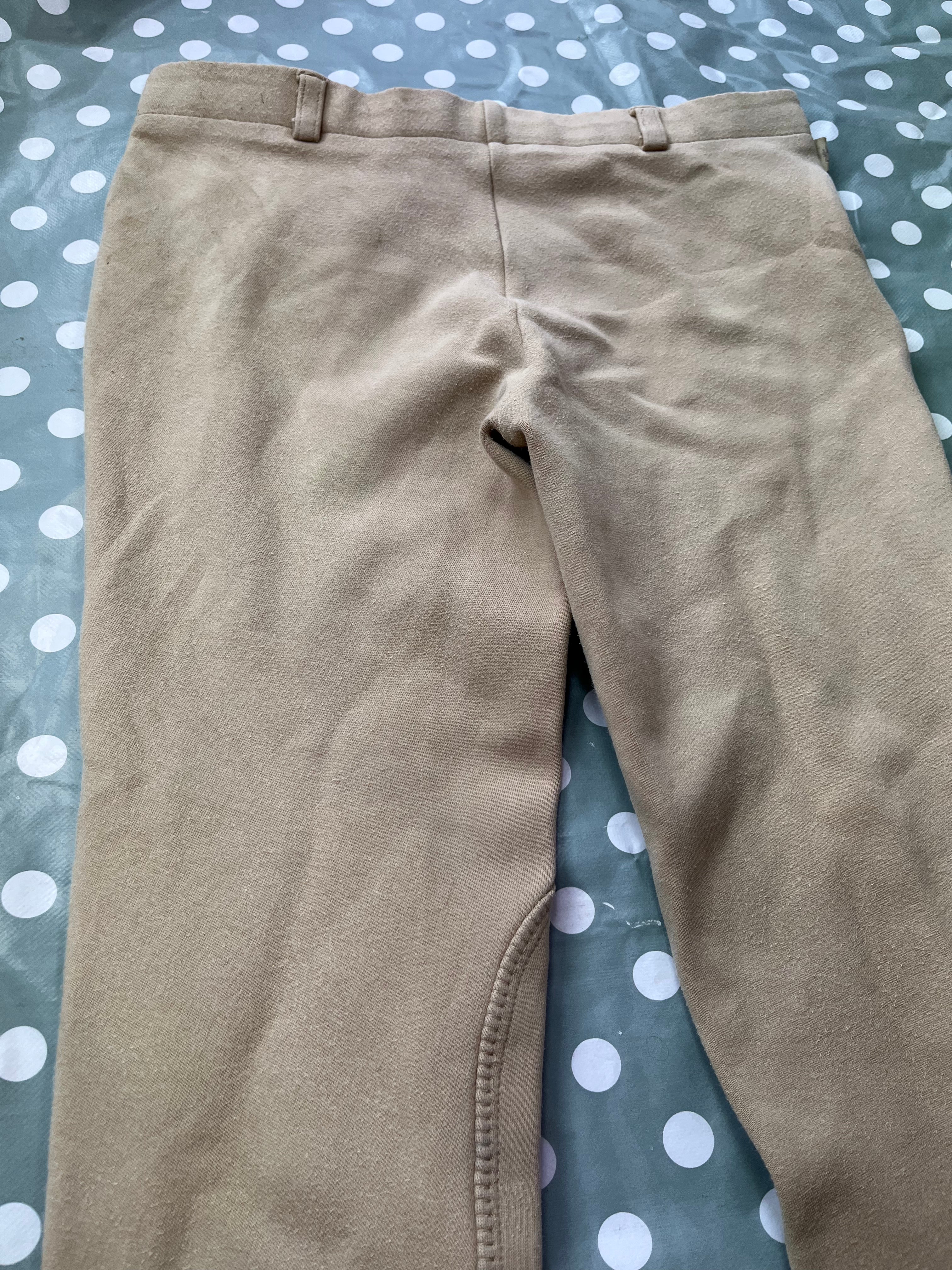 Harry Hall Atlanta Junior Breeches Regular 12 Years