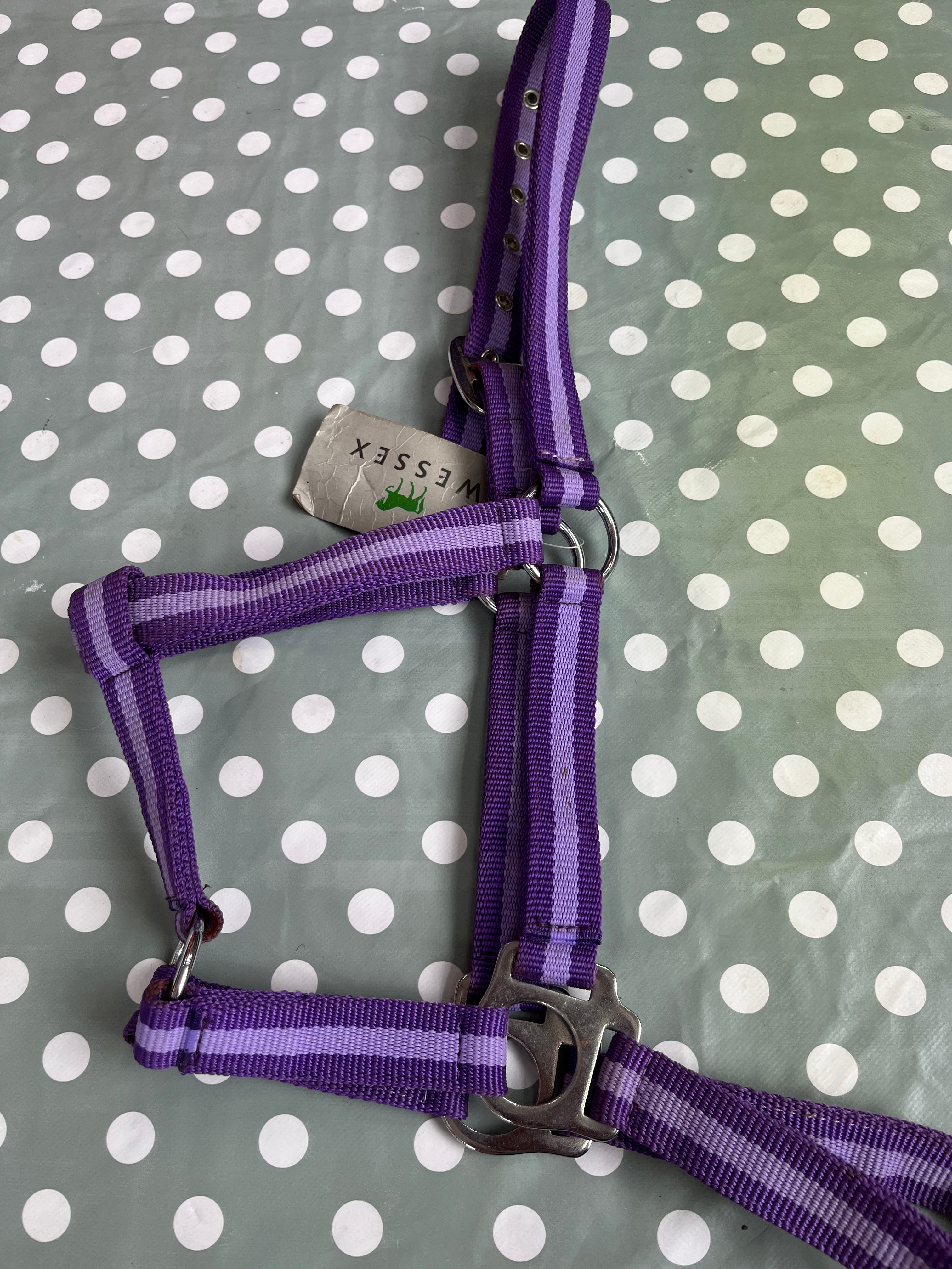 Wessex Pony Headcollar