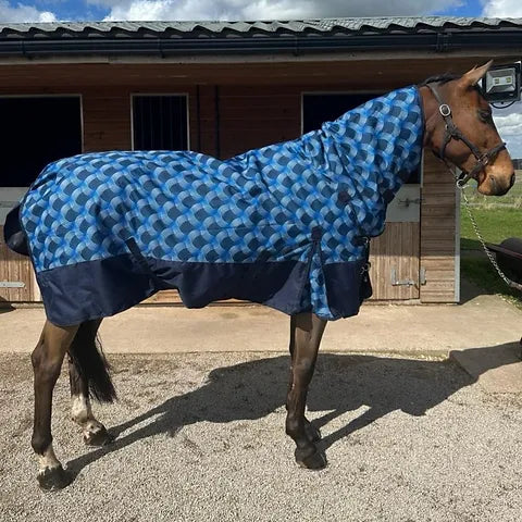 Sheldon 100gm Combo Turnout Rug