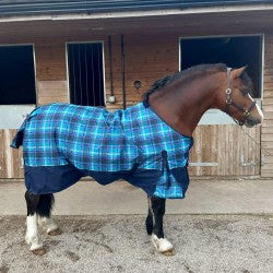 Sheldon 50gm No Neck Turnout Rug