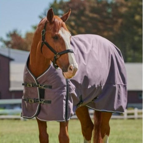 LIMITED EDITION 50g Regular Neck Turnout Rug (1200D)