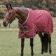 LIMITED EDITION 50g Regular Neck Turnout Rug (1200D)