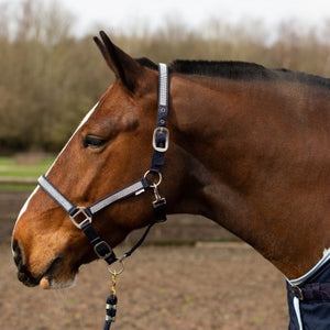 Gallop Bling Headcollar & FREE LEADROPE