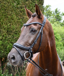 Rhinegold Softee Padded Leather Pro-Anatomical Bridle
With Flash Noseband