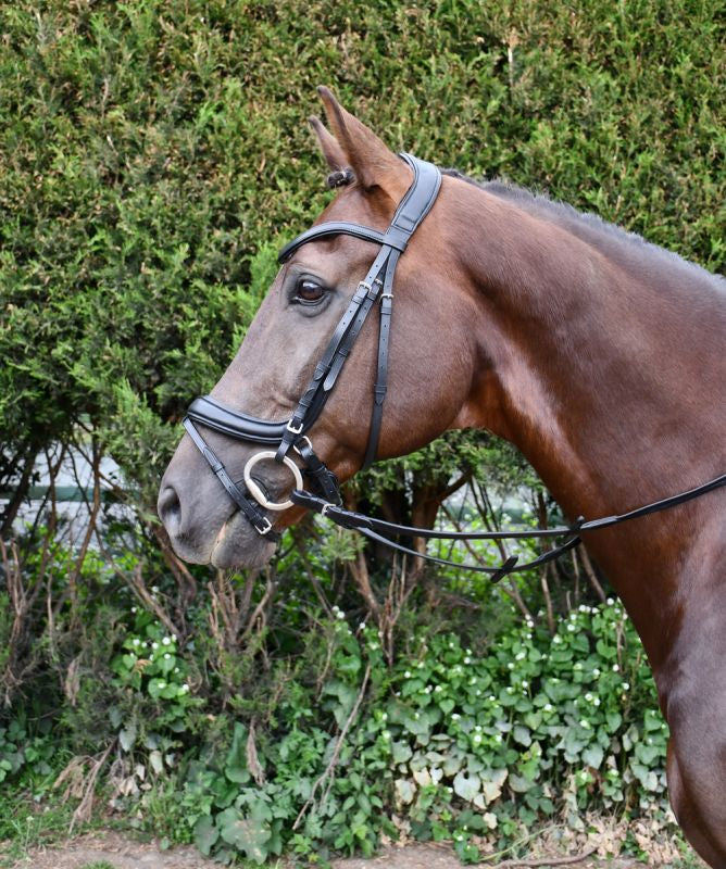 Rhinegold Softee Padded Leather Pro-Anatomical Bridle
With Flash Noseband